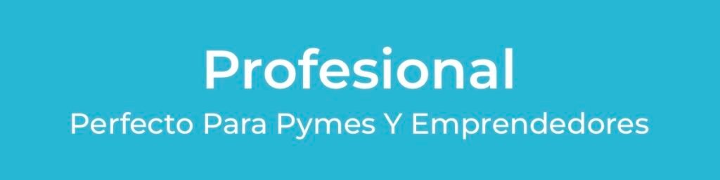 Diseño de logo Profesional