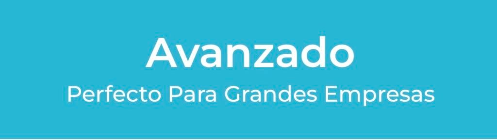 Diseño de logo Avanzado
